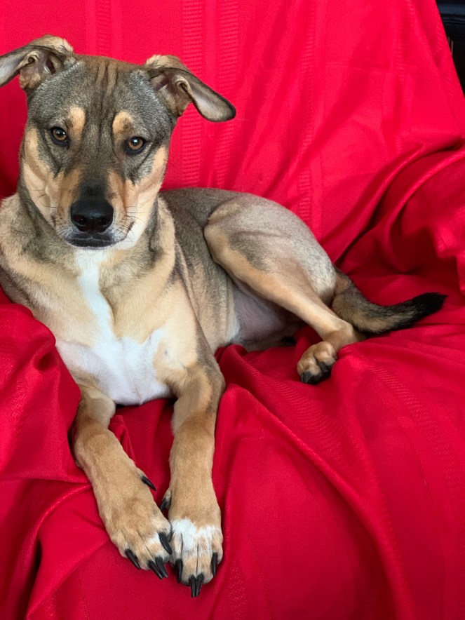 6A2k%q3TSBOaP3px9Lhajw