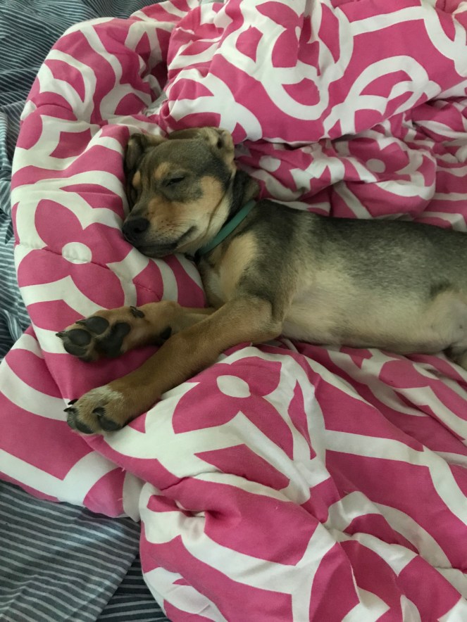 hp5B9gQORHyfrkTPpCQyAA